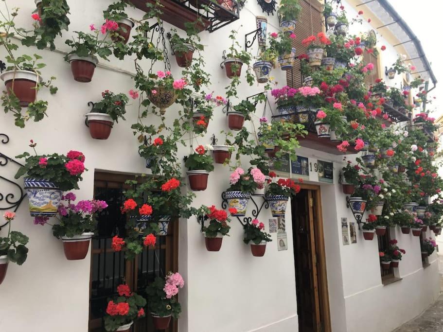 Apartamento Zoco Cordoba Luaran gambar